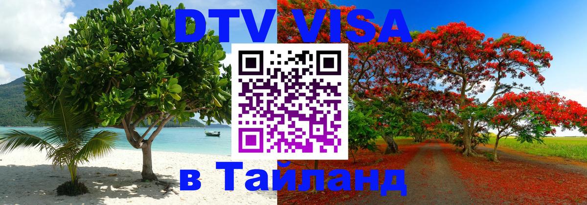 Сколько стоит DTV виза — актуальные цены, оформление даже без документов - Армавир  07.12.2025 